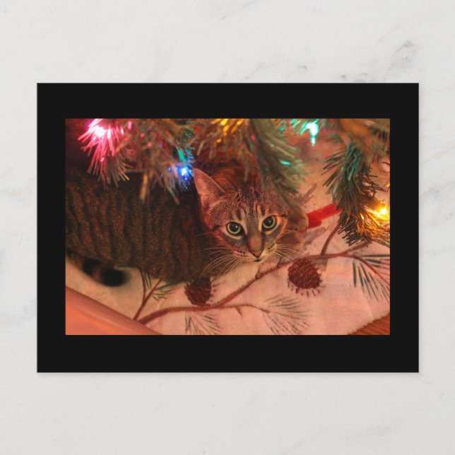 Festiva postal del árbol de navidades (Anverso)