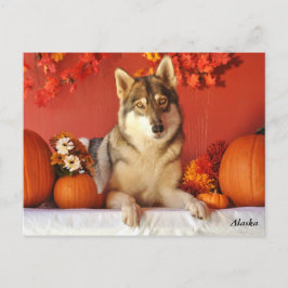 Festiva Postal del día de fiesta de la caída del lobo