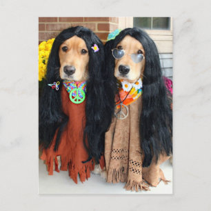 Festiva Postal del Hippie de Halloween del golden