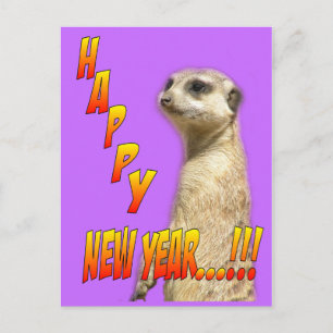 Festiva Postal feliz Año Nuevo Meerkat
