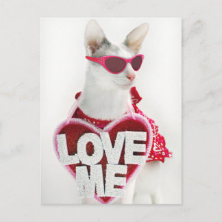 Festiva Postal feliz de San Valentín de Skeezix el gato