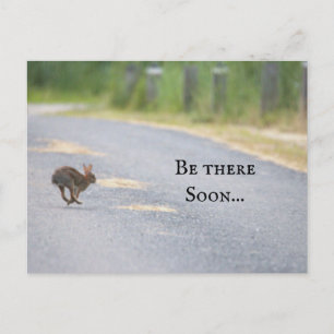 Festiva Postal fotográfica Bunny