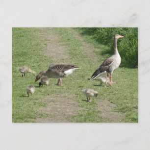Festiva Postal Geese Family DIY