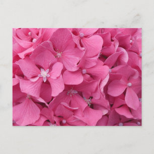 Festiva Postal Hidrangea Rosa Cerrar DIY