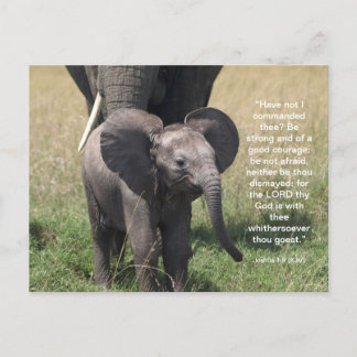 Festiva Postal motivadora frente a la biblia