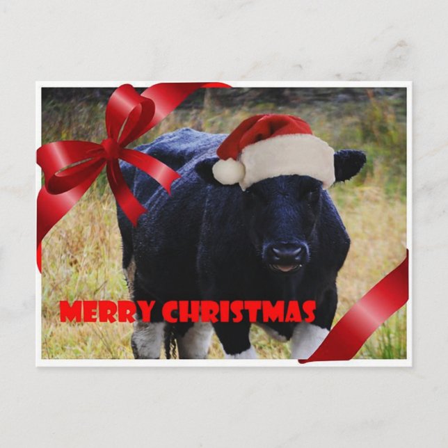 Festiva Postal navideña Black Cow Merry (Anverso)
