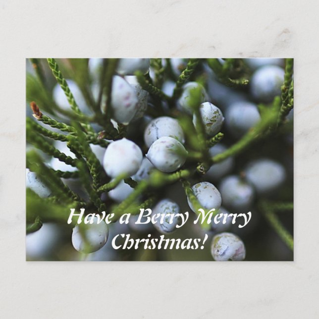 Festiva Postal para Navidades (Anverso)