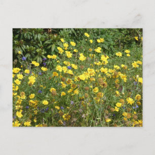 Festiva Postal Yellow Wildflowers DIY
