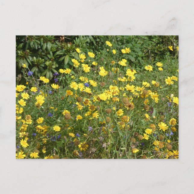 Festiva Postal Yellow Wildflowers DIY (Anverso)