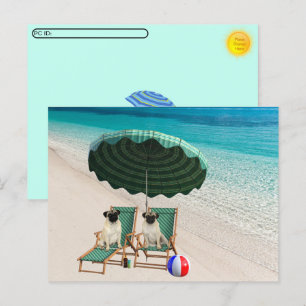 Festiva Postcross - aguijones en la postal de la playa