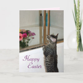 Festiva Preciosa y hermosa tarjeta de Pascua de Kitten