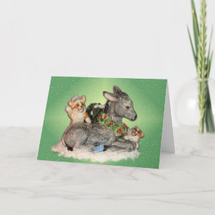 Festiva ¡Que nieve! Tarjeta de Navidades Corgis y Donkey
