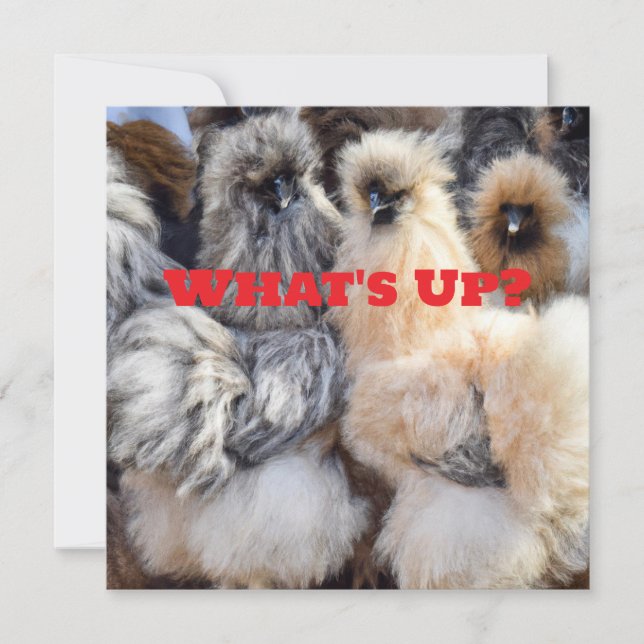 Festiva Qué pasa, tarjeta de culo de pollo (Anverso)