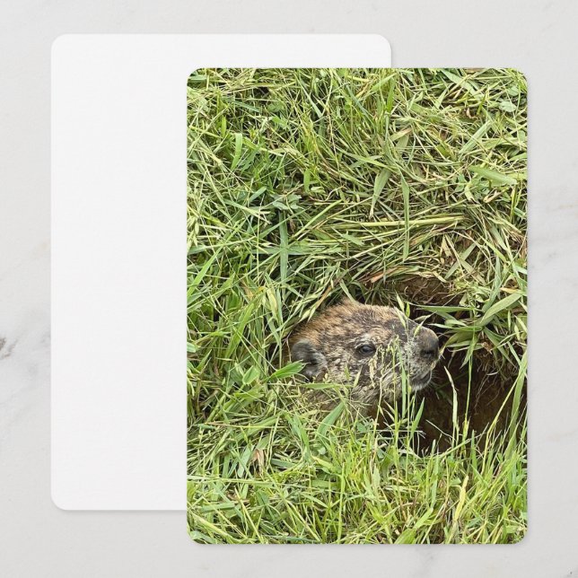 Festiva ¿Qué pasa? Tarjeta plana de vacaciones (Anverso / Reverso)