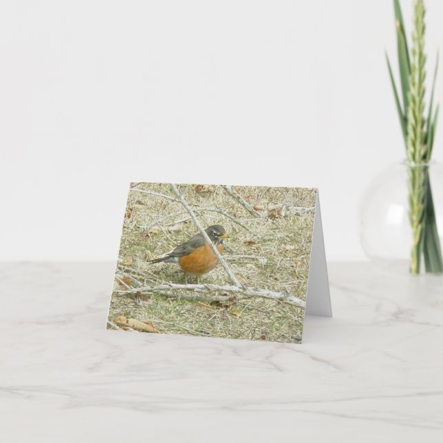 Festiva Robin Harbinger de la tarjeta de primavera (Anverso)