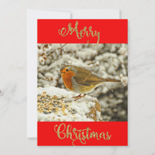 Festiva Robin navideño feliz con tarjeta de foto de nieve