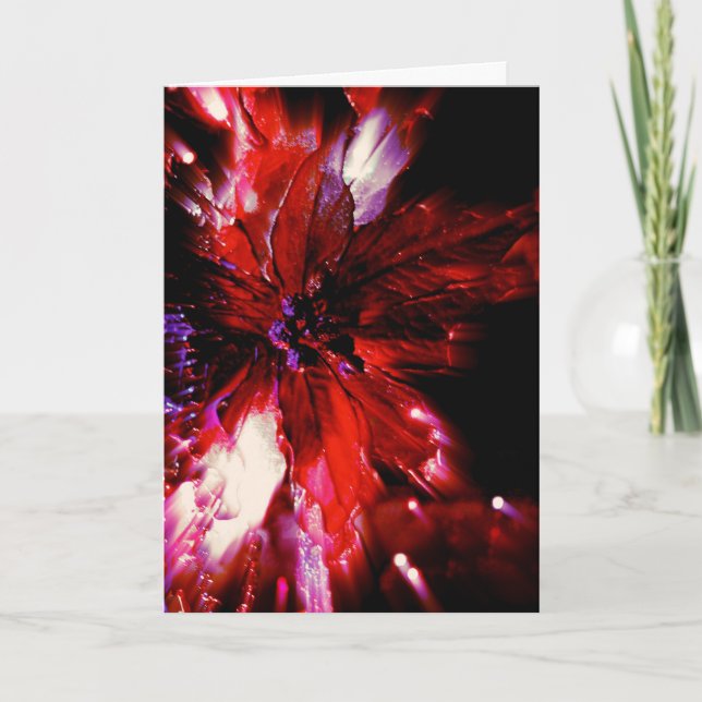 Festiva rojo único en la tarjeta de Navidades negros (Anverso)