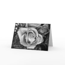 Rosa-Man de la tarjeta del el día de San Valentín