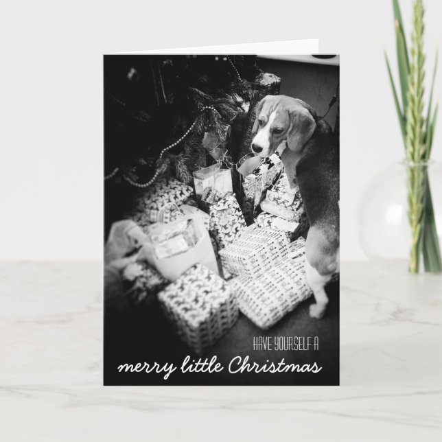 Festiva Rupert la tarjeta de Navidades Beagle (Anverso)