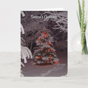 Festiva Saludos de Temporada Tarjeta de Paisaje Invernal M