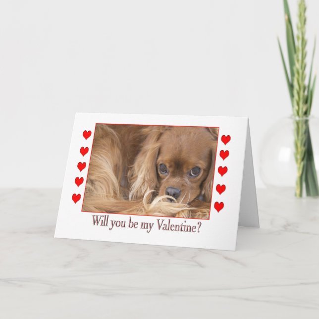 Festiva ¿Serás mi tarjeta de Spaniel del Día de San Valent (Anverso)