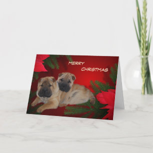 Festiva Shar Pei Cuppies tarjeta Poinsettia