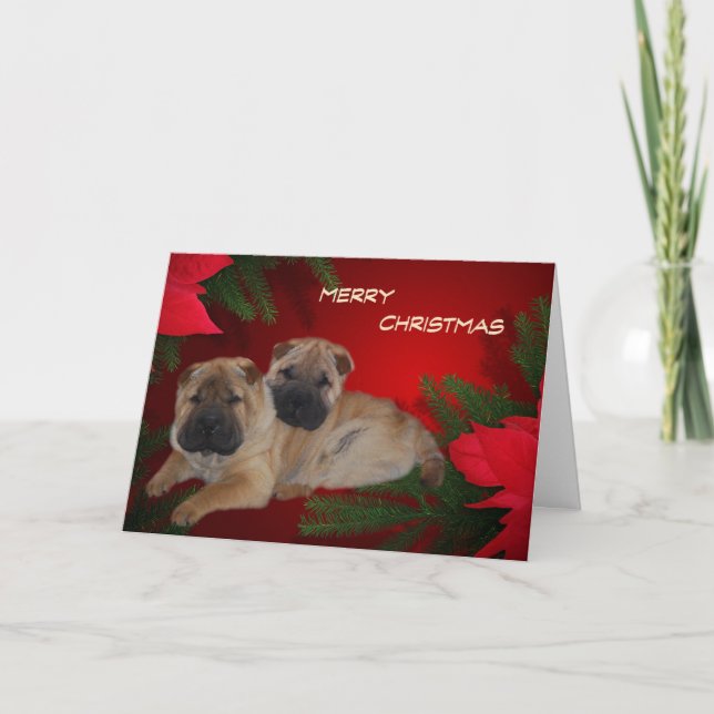 Festiva Shar Pei Cuppies tarjeta Poinsettia (Anverso)