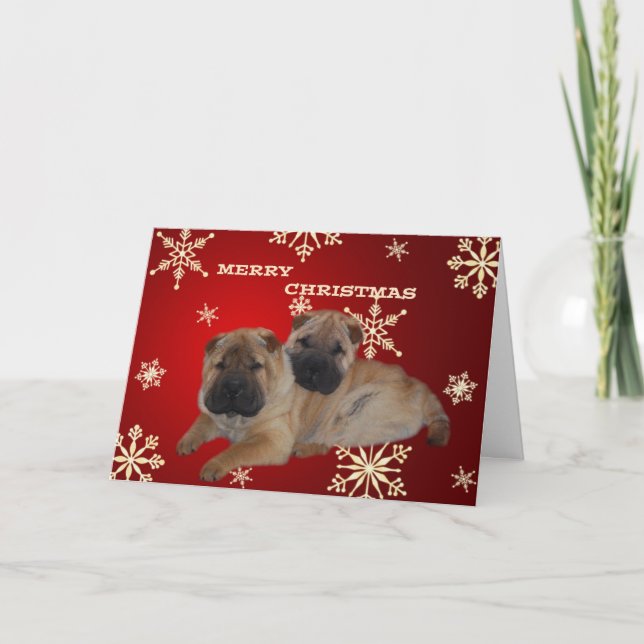 Festiva Shar Pei Cuppies tarjeta Snowflake (Anverso)