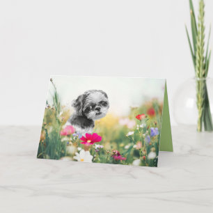 Festiva Shih Tzu Chica y tarjeta de saludo de campo de flo