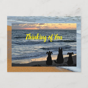 Festiva Silueta de perro en la postal de surf del océano