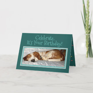 Festiva Sleepy Basset En La Tarjeta De Cumpleaños "Animal 