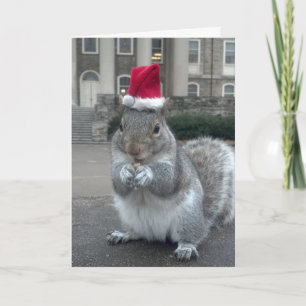 Festiva Sneezy la tarjeta de Navidades de ardilla