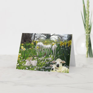 Festiva Snowdrop la tarjeta de pascua maltesa