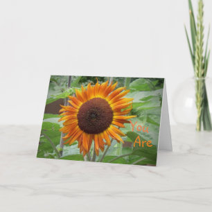Festiva Sunshine De Mi Tarjeta De Saludo De Girasol De Vid