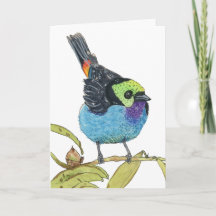 Tanager del Paraíso | Tarjeta de saludo de ave tro