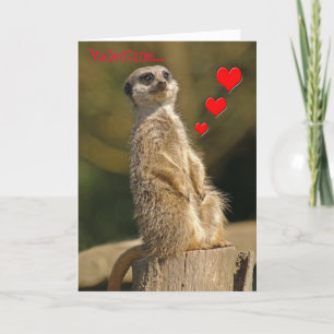 Festiva Tarjeta 006 de la tarjeta del día de San Valentín