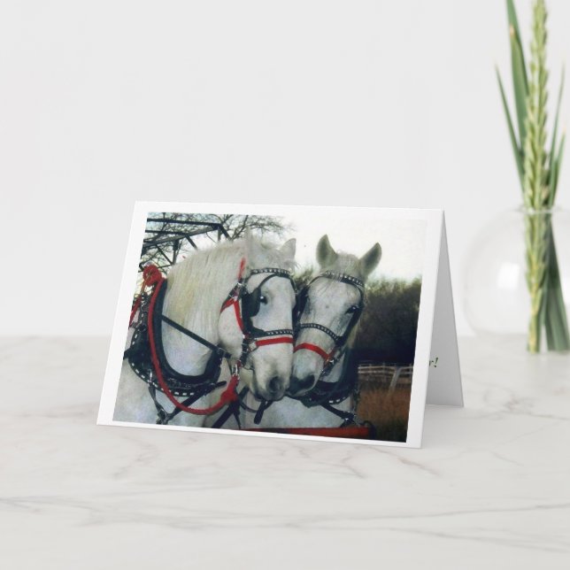 Festiva Tarjeta 2010 del día de fiesta (Anverso)