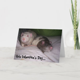 Festiva Tarjeta anti Día de San Valentín - solo seamos ami