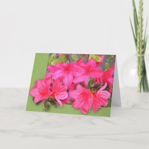 Festiva Tarjeta Azalea de Pascua de Fuente Grande