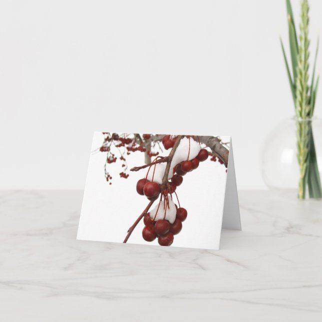 Festiva Tarjeta Berry de nieve (Anverso)