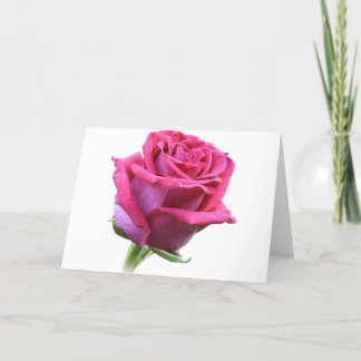 Festiva Tarjeta Bud Rosa Rosa