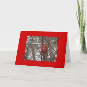 Festiva Tarjeta Cardenal