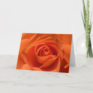 Festiva Tarjeta color de rosa anaranjada de la tarjeta del