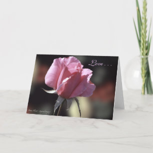 Festiva Tarjeta color de rosa rosada del amor