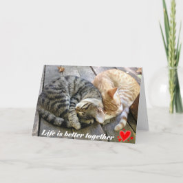 Festiva Tarjeta con los gatos - espacio en blanco del el