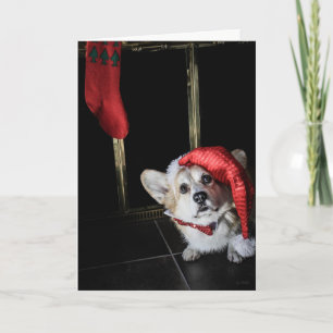Festiva Tarjeta Corgi Elf Buscando Navidades Santa