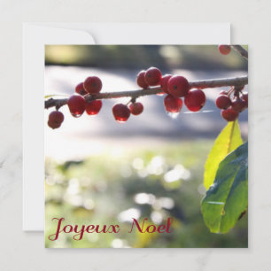 Festiva Tarjeta cuadrada Joyeux Noel