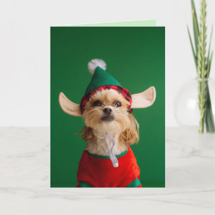 FESTIVA TARJETA CUTE PEQUEÑO PERRO DE ELF DIVERSIÓN DE NAV