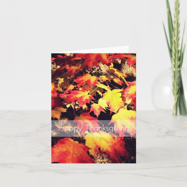 Festiva Tarjeta de Acción de Gracias (Anverso)