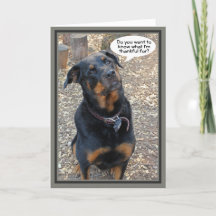 Tarjeta de acción de gracias a Rottweiler